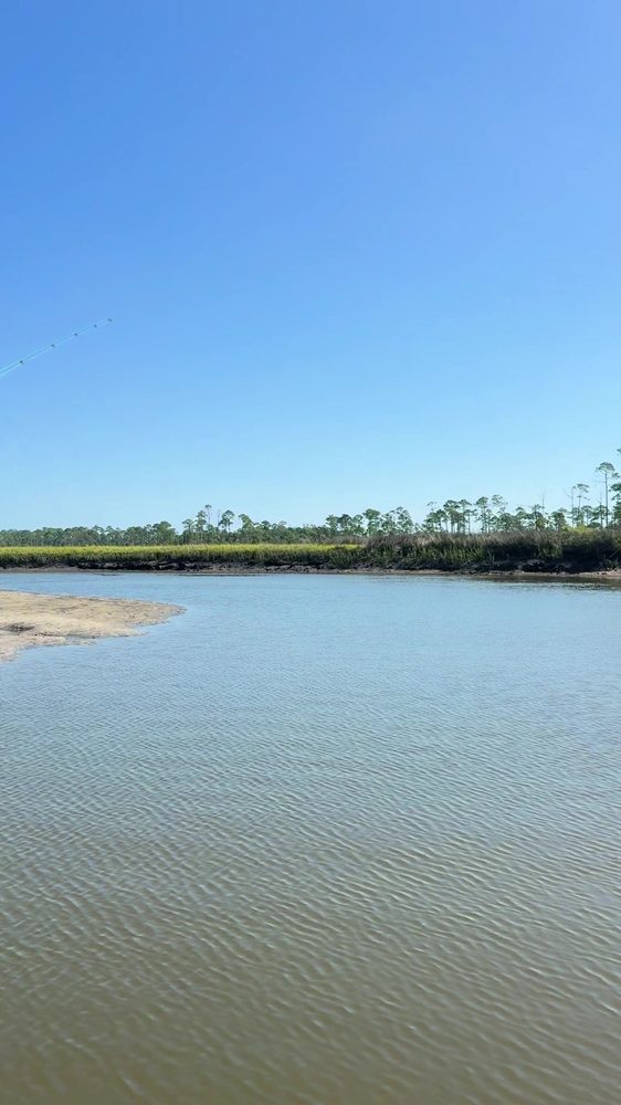 A sandbar and pine tree line on the Intracoastal Waterway