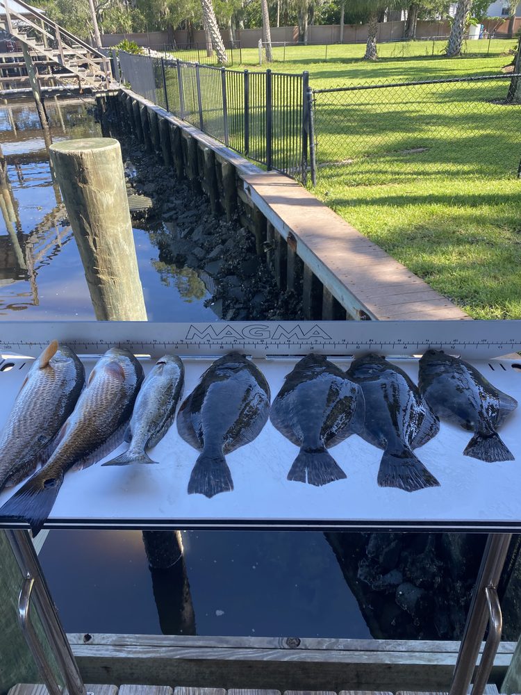 Flounder and redfish laid out on the cleaning table