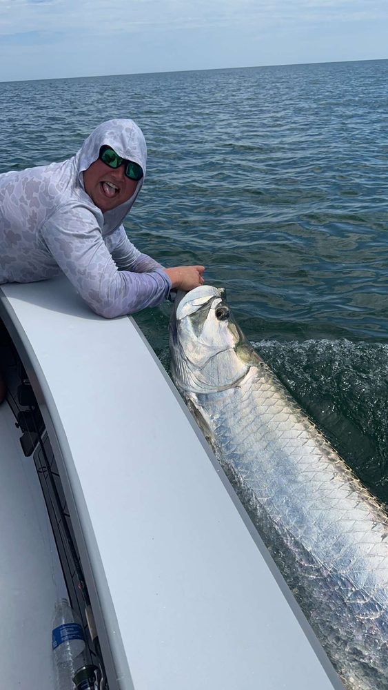 Tarpon alongside the skiff before release