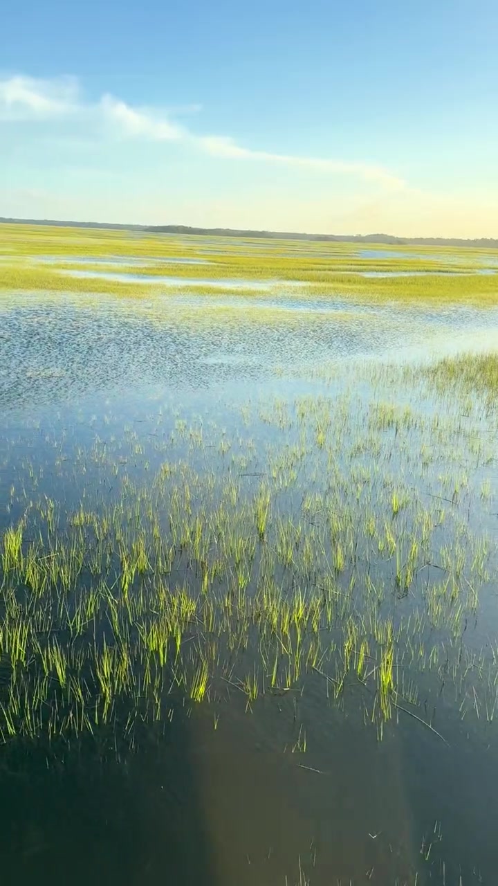 Late-day light over a flooded spartina marsh on the Intracoastal