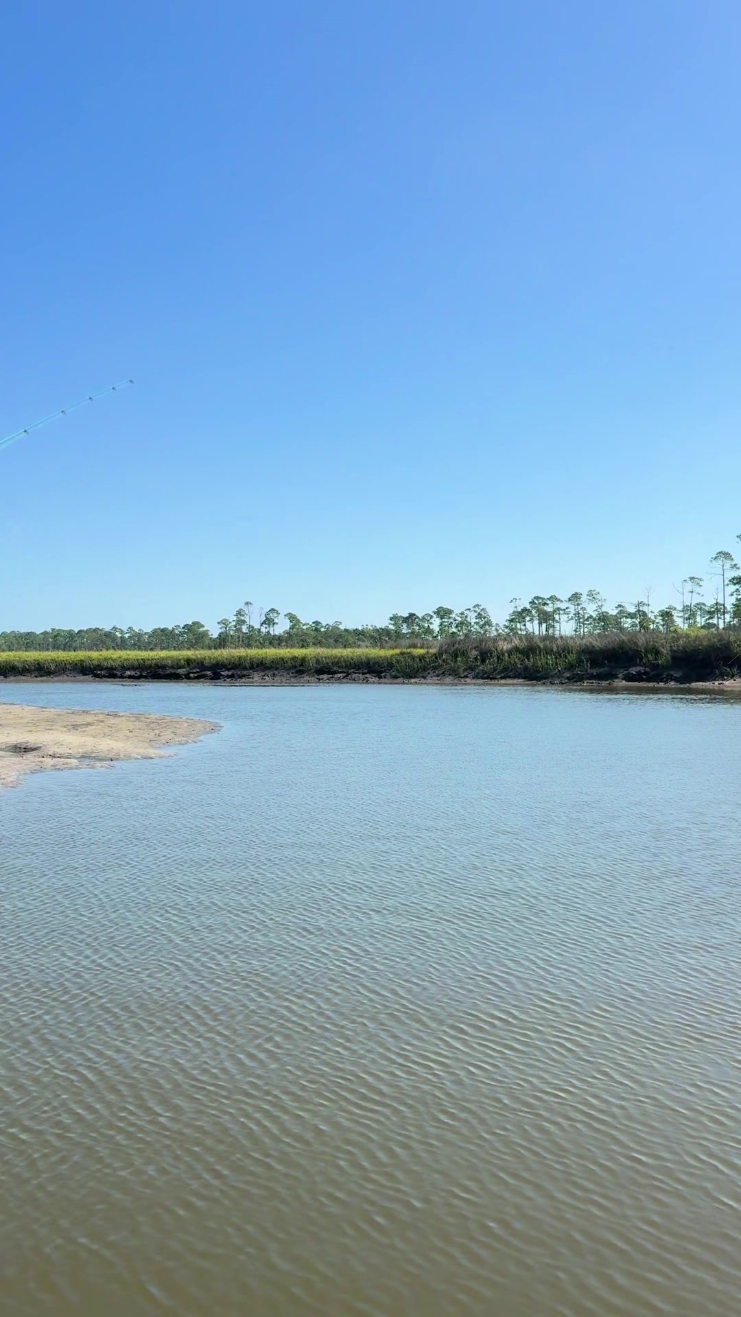 A sandbar and pine tree line on the Intracoastal Waterway